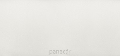 brilliant white - panneau entier