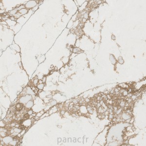 bronze coast - détail