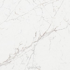 calacatta olympos - détail