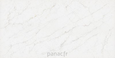 calacatta-olympos - panneau entier