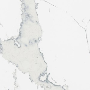 calacatta pastino - détail