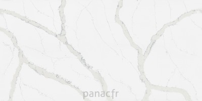 calacatta pastino - panneau entier