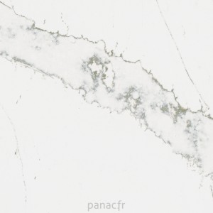 calacatta serchio - détail