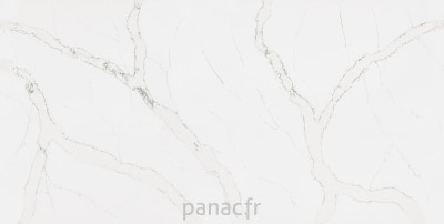 calacatta serchio - panneau entier