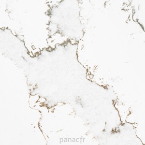 calacatta volegno - détail