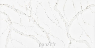 calacatta volegno - panneau entier