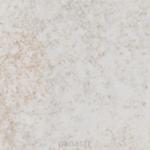 country rose - détail