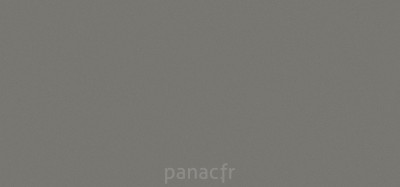 gobi grey panneau entier