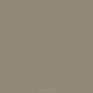 harmonia navajo - détail