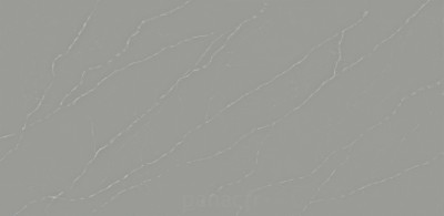 imagine grey - panneau entier