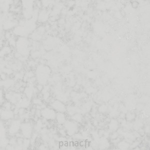 morning daisy - détail