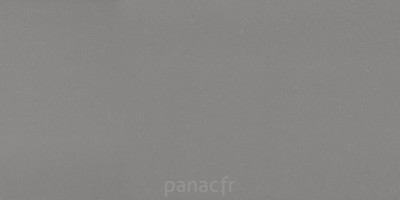 noble concrete grey - panneau entier