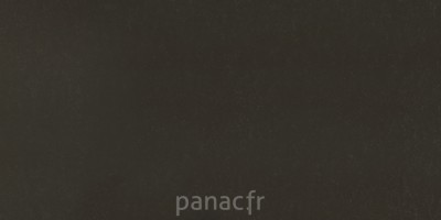 noble pietra grey - panneau entier