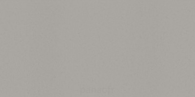 noble portland grey - panneau entier