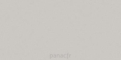 noble quartzite - panneau entier