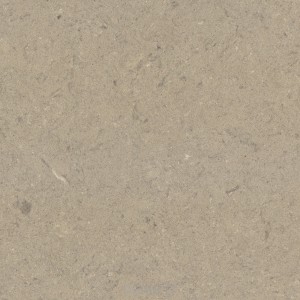 noble troya - détail