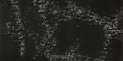 pearl delta - panneau entier