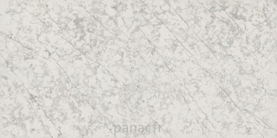 romano-ricco - panneau entier