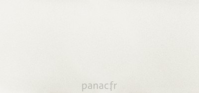 starlight white - panneau entier