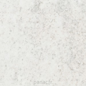 wedding lily - détail