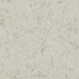 wild yucca - détail