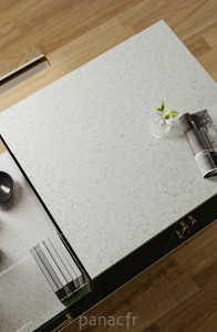 wild yucca - realisation 1