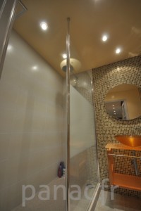 Paroi et porte de douche sur mesure