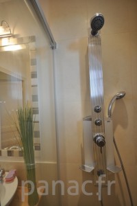 Paroi et porte de douche sur mesure