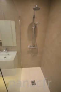 Paroi et porte de douche sur mesure