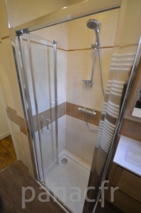 Paroi et porte de douche sur mesure