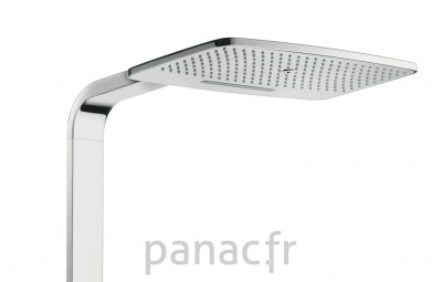 Hansgrohe® Douchette Raindance Showerpipe E420