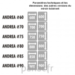 Andrea 60