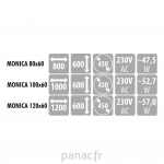 Monica 80x60 [cm]