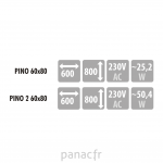 Pino 60x80 [cm]